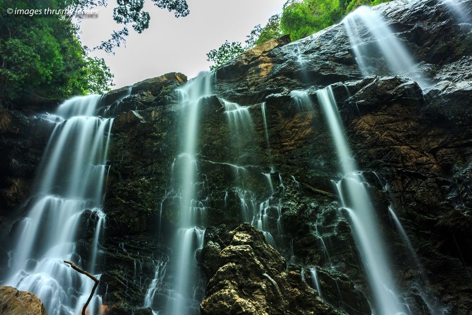 Photo of Waterfalls in the Sahyadris'( Serie 1) by sumit walia