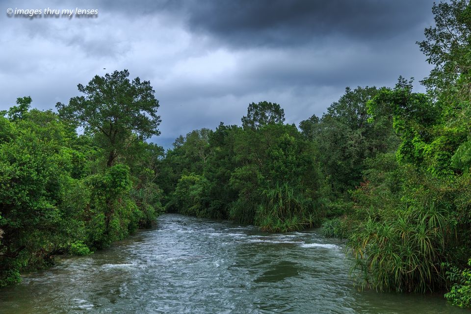 Photo of Waterfalls in Western Ghats ( series 4) by sumit walia