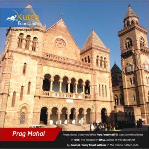 Photo of Best 20 Places to Visit in Kutch During Rann Utsav 7/21 by Kutch Tour Guide