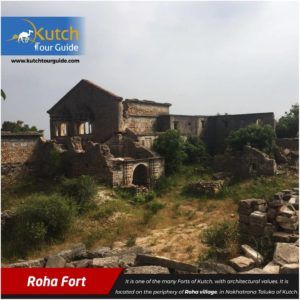 Photo of Best 20 Places to Visit in Kutch During Rann Utsav 13/21 by Kutch Tour Guide