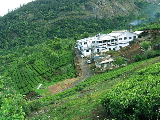 Photo of Honeymoon Place: 10 Top Best Honeymoon Destinations in India - FPINFO.IN 16/21 by Shahid Ali Khan