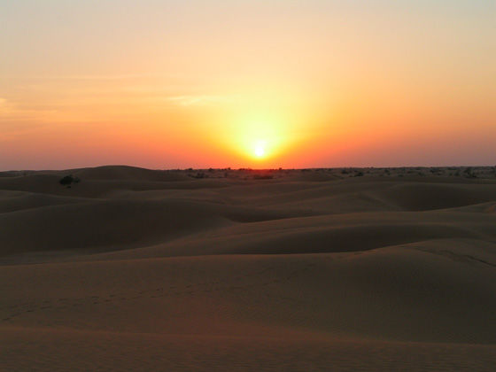 Photo of City of Sunset...Jaisalmer 3/3 by Dipika Thakkar