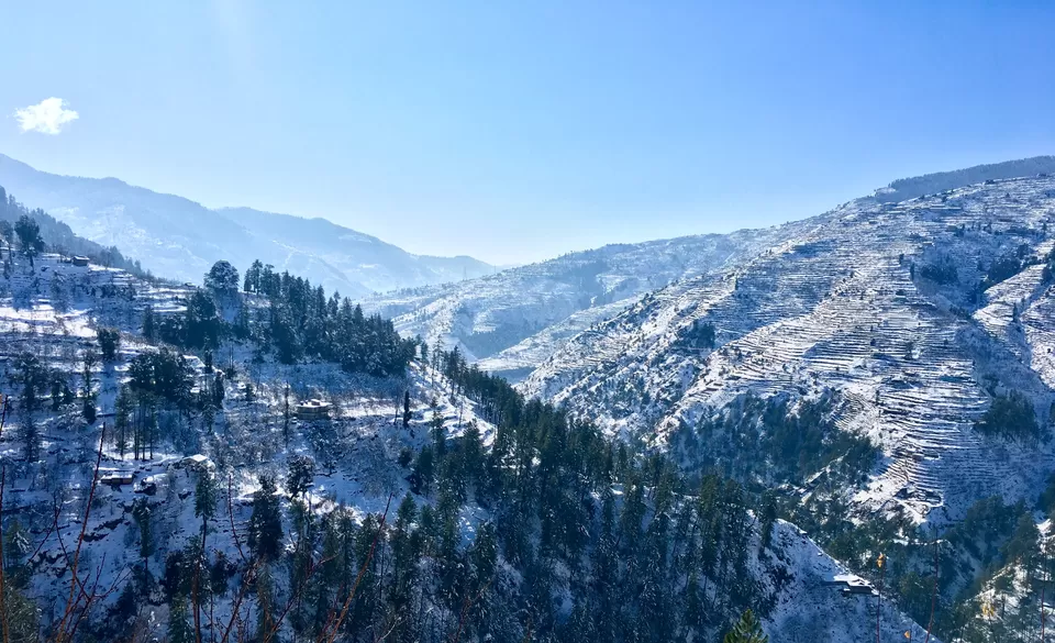 Photo of Witness The Beauty Of Snowfall In Shimla - Here's An Exclusive Guide For You by Bongyatri - Sourav and Anindita