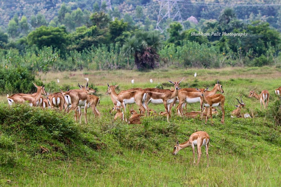 Photo of 7 Offbeat destinations near Kolkata for your perfect Weekend gateway by Sourav & Anindita