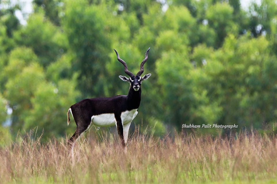 Photo of 7 Offbeat destinations near Kolkata for your perfect Weekend gateway by Sourav & Anindita