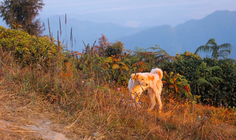 Photo of 7 Offbeat destinations near Kolkata for your perfect Weekend gateway by Sourav & Anindita
