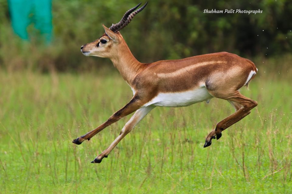 Photo of 7 Offbeat destinations near Kolkata for your perfect Weekend gateway by Sourav & Anindita