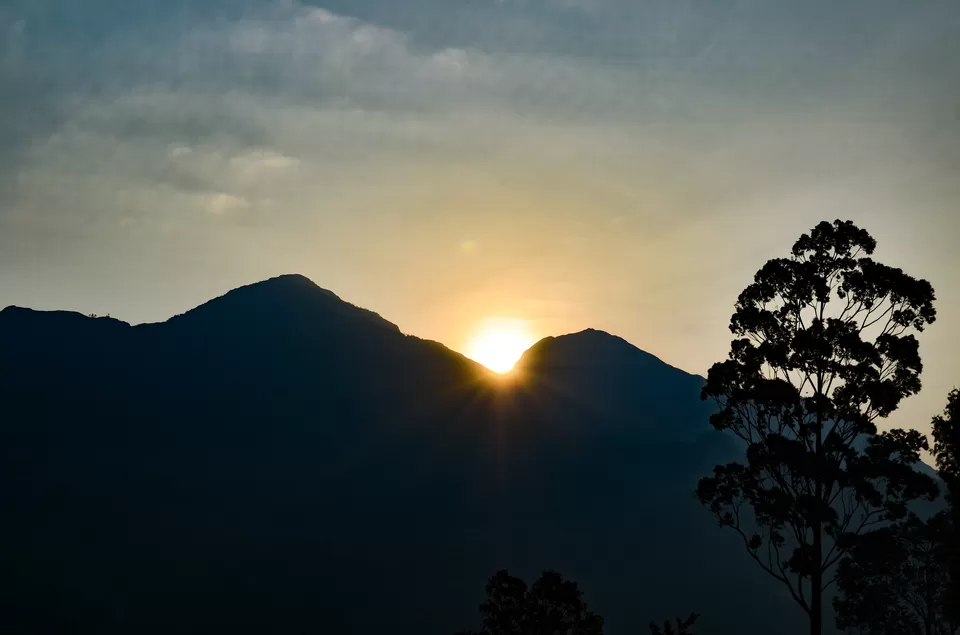 Photo of Eravikulam National Park, Kerala, India by Bongyatri - Sourav and Anindita