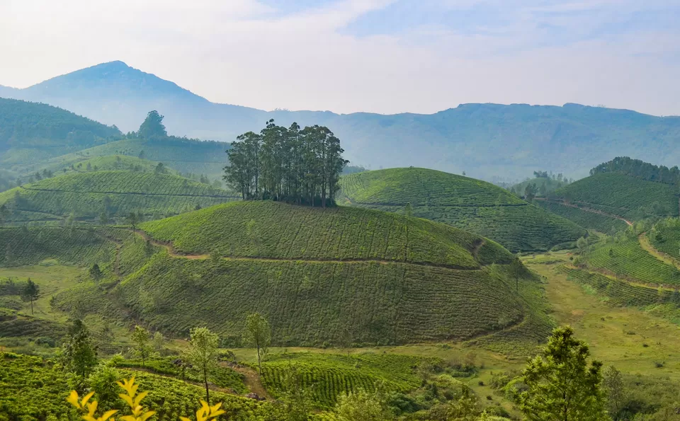Photo of Periyar National Park, Kerala, India by Bongyatri - Sourav and Anindita