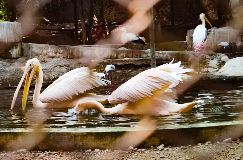 Photo of Padmanabhaswamy Temple Road, Fort, Padma Nagar, Pazhavangadi, Thiruvananthapuram, Kerala, India by Bongyatri - Sourav and Anindita