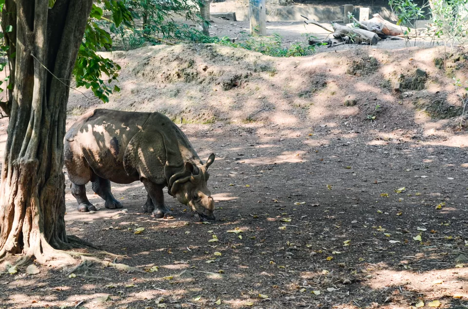 Photo of Padmanabhaswamy Temple Road, Fort, Padma Nagar, Pazhavangadi, Thiruvananthapuram, Kerala, India by Bongyatri - Sourav and Anindita
