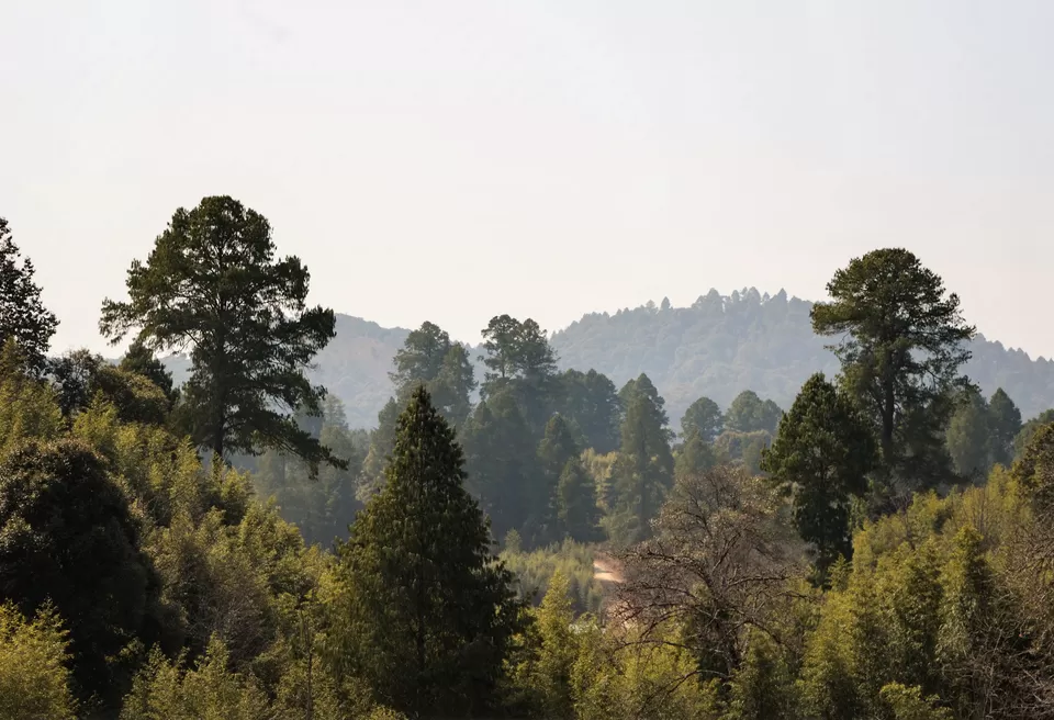 Photo of Ziro by Bongyatri - Sourav and Anindita