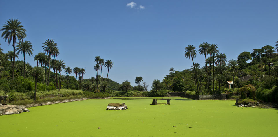 Photo of Mount Abu, Rajasthan, India by Bongyatri - Sourav and Anindita