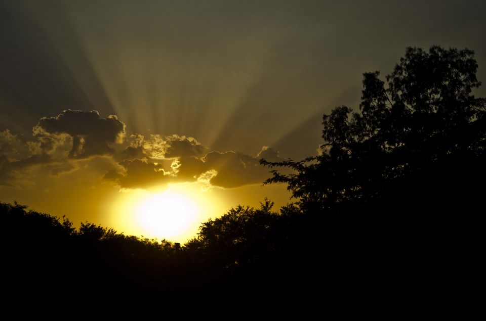 Photo of Ranthambore National Park, Rajasthan, India by Bongyatri - Sourav and Anindita