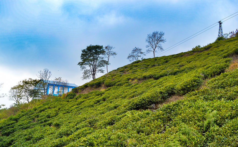 Photo of Rangbull, West Bengal, India by Bongyatri - Sourav and Anindita