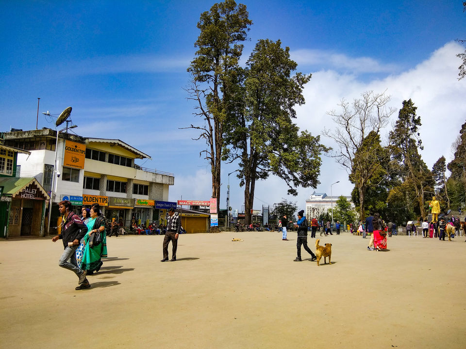 Photo of Rangbull - An Offbeat Alternative to Darjeeling #GoneOffbeat by Bongyatri - Sourav and Anindita