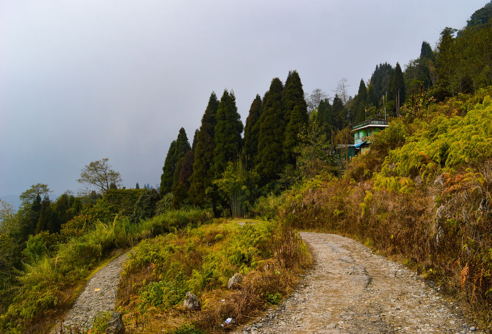 Photo of Rangbull - An Offbeat Alternative to Darjeeling #GoneOffbeat by Bongyatri - Sourav and Anindita