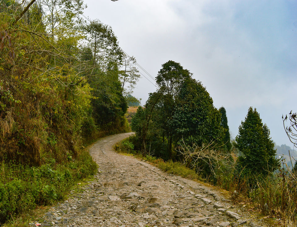 Photo of Rangbull - An Offbeat Alternative to Darjeeling #GoneOffbeat by Bongyatri - Sourav and Anindita