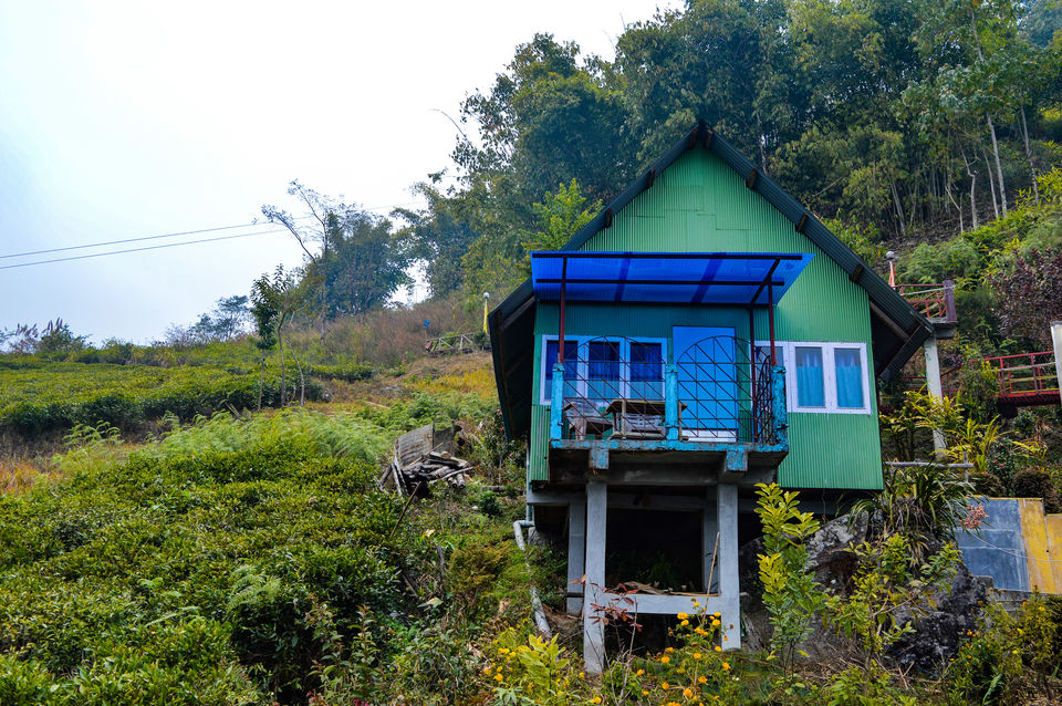 Photo of Rangbull - An Offbeat Alternative to Darjeeling #GoneOffbeat by Bongyatri - Sourav and Anindita
