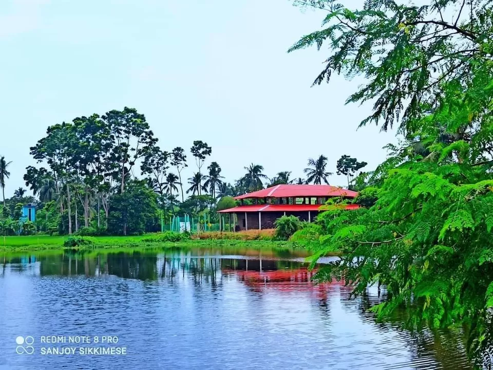 Photo of Mondwarika Eco-Resort - India's First Tyre House in West Bengal by Bongyatri - Sourav and Anindita
