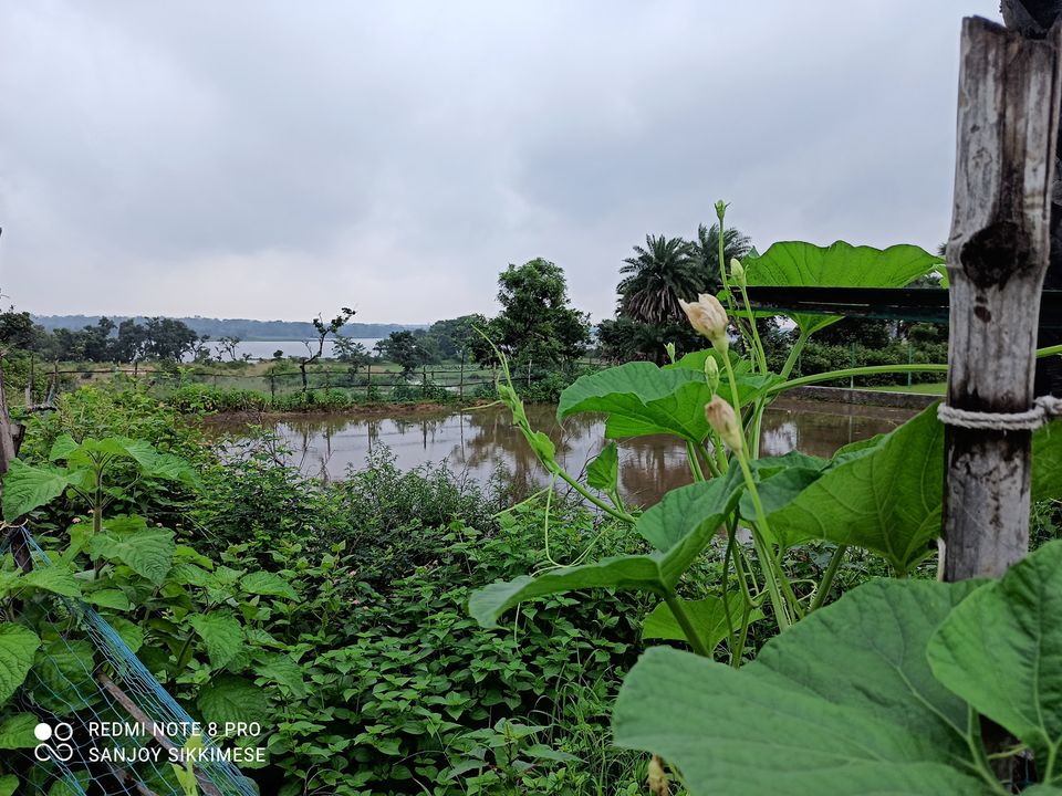 Photo of Located 6 Hours Away From Kolkata, This Hidden Treasure Near Purulia Will Surprise You 7/7 by Bongyatri - Sourav and Anindita