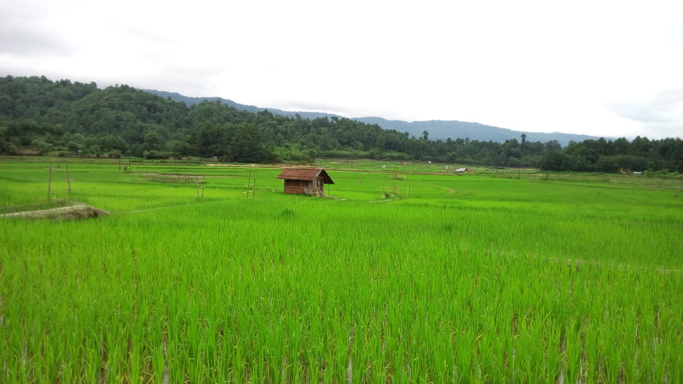 Photo of Ziro by Bongyatri - Sourav and Anindita