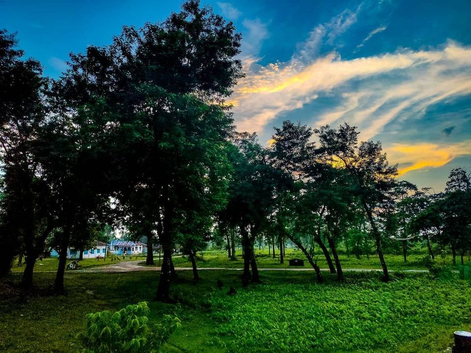 Photo of Enjoy The Dense Forests & Lush Greeneries Of Dooars From Vistadome Coach 4/5 by Bongyatri - Sourav and Anindita