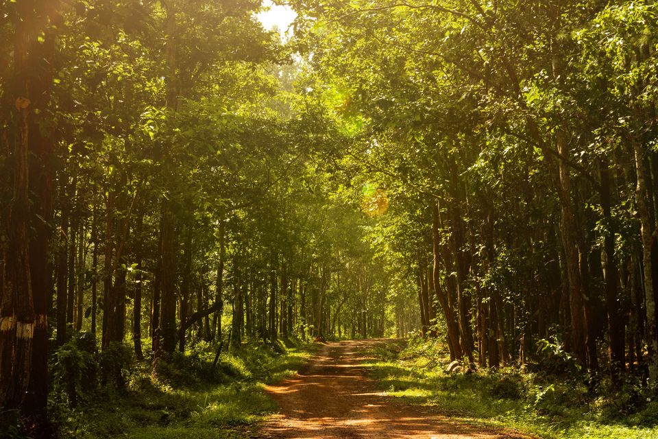Photo of Odisha: India's Hidden Gem That'll Let You Explore The Diversity Of The State 3/12 by Bongyatri - Sourav and Anindita