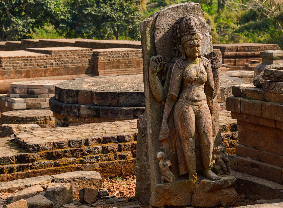 Photo of Odisha: India's Hidden Gem That'll Let You Explore The Diversity Of The State 8/12 by Bongyatri - Sourav and Anindita