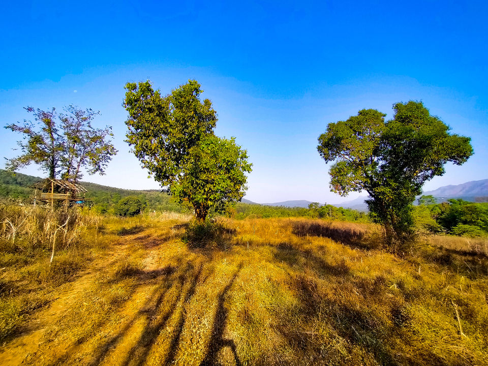 Photo of Chikmagalur, Karnataka, India by Bongyatri - Sourav and Anindita