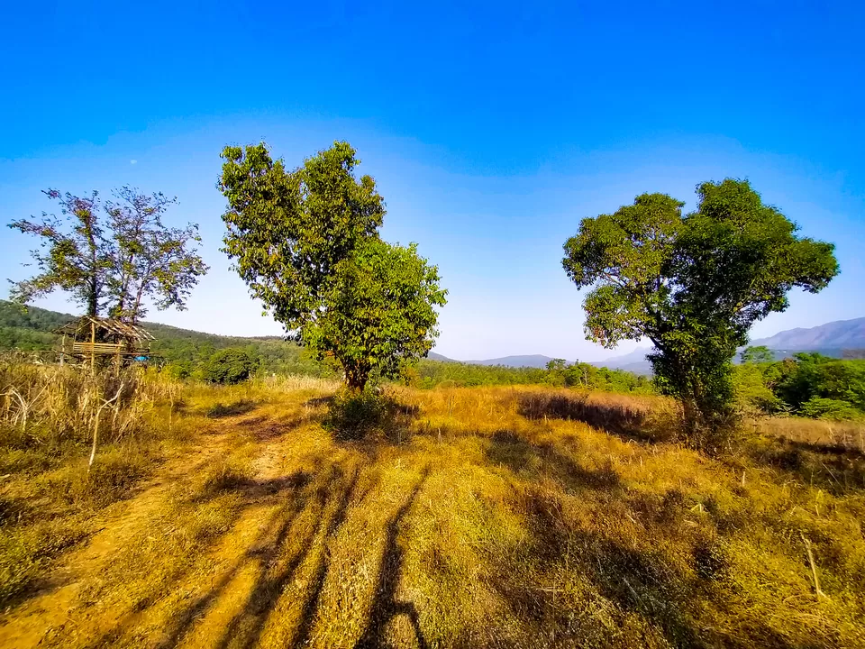 Photo of Chikmagalur, Karnataka, India by Bongyatri - Sourav and Anindita