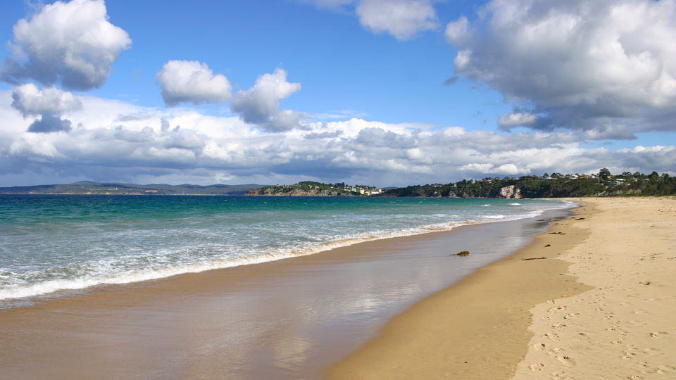 Photo of Two New Indian Beaches Earn the Blue Flag Certification – Here's What it Means! 12/12 by Bongyatri - Sourav and Anindita