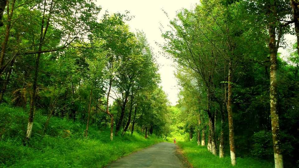 Photo of Around North East India 4 States In 15 Days – Here Is The Ultimate Plan 21/29 by Bongyatri - Sourav and Anindita