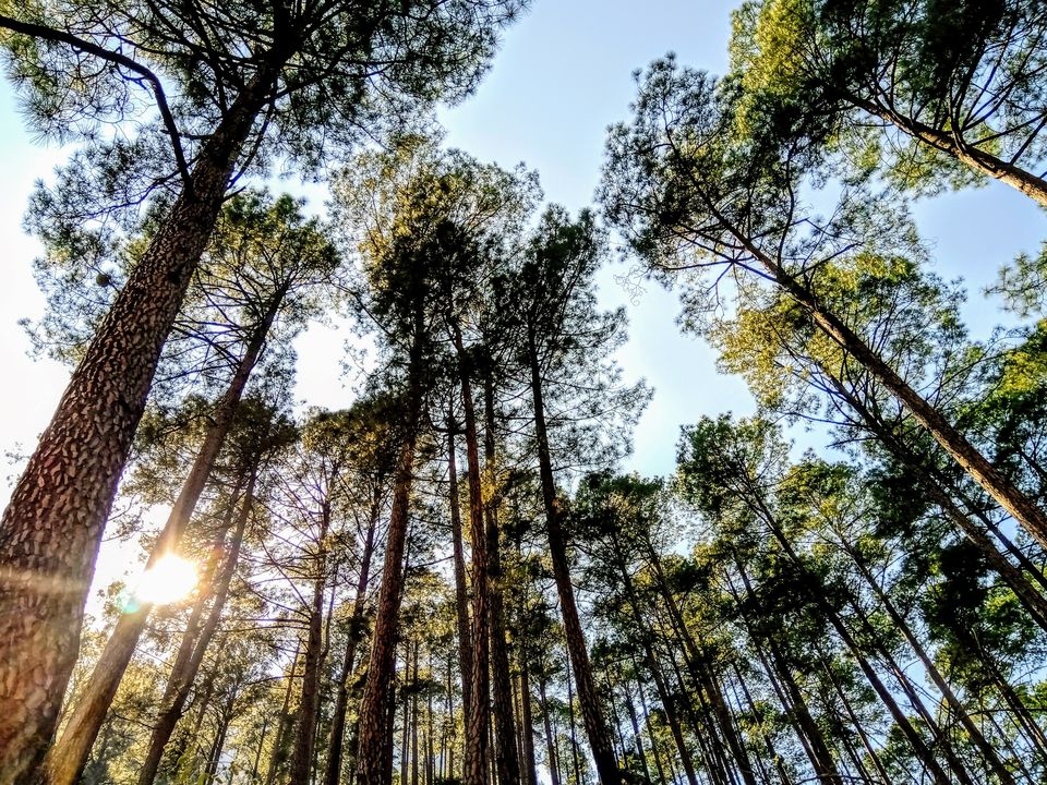 Photo of Guides to 10 Truly Remote Destinations That Will Help You Heal From The Shit Storm of 2021 21/23 by Bongyatri - Sourav and Anindita
