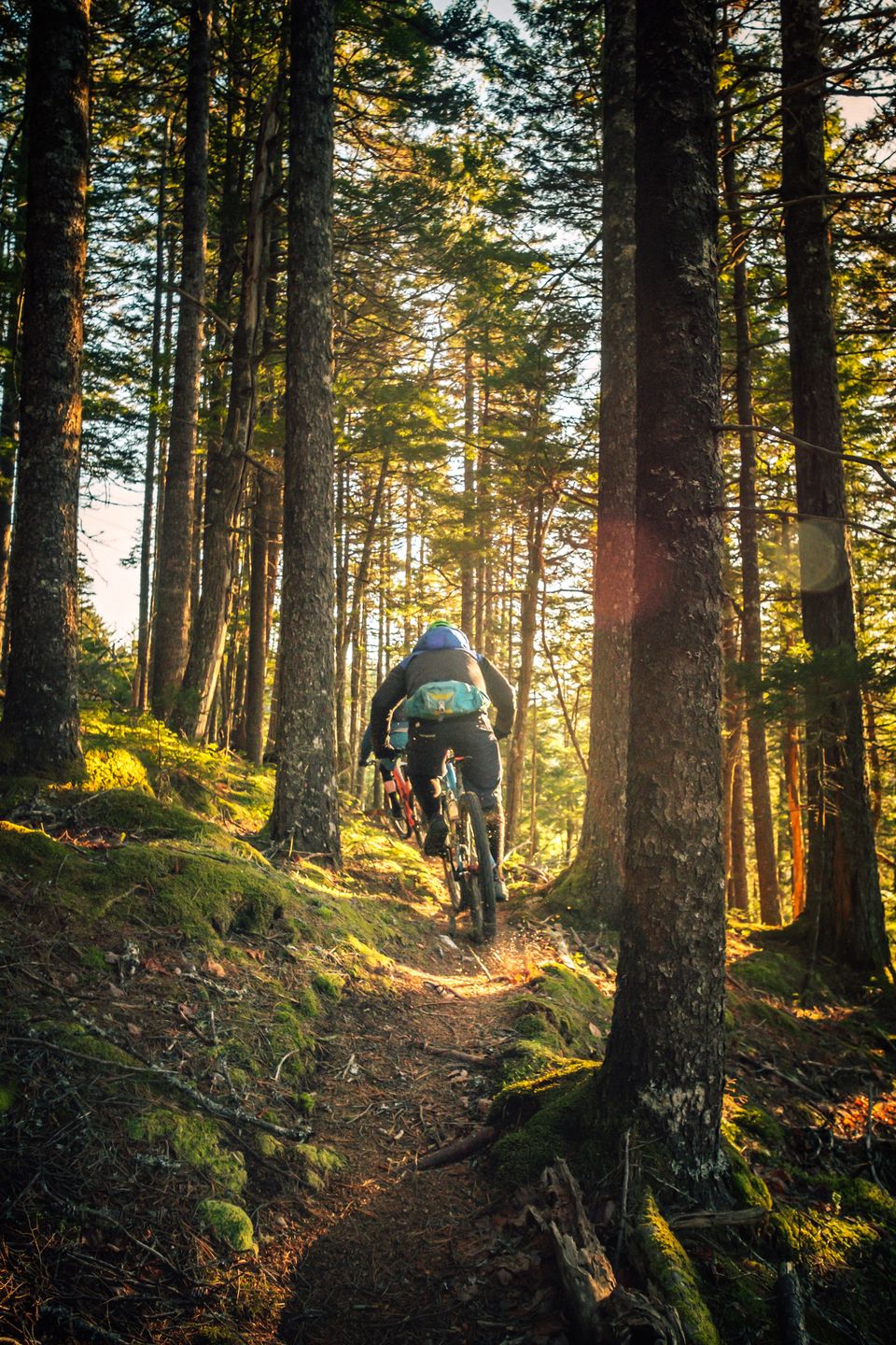 Photo of Seize the Day and Say Yes to These 10 Winter Adventure Activities in India! 6/10 by Bongyatri - Sourav and Anindita