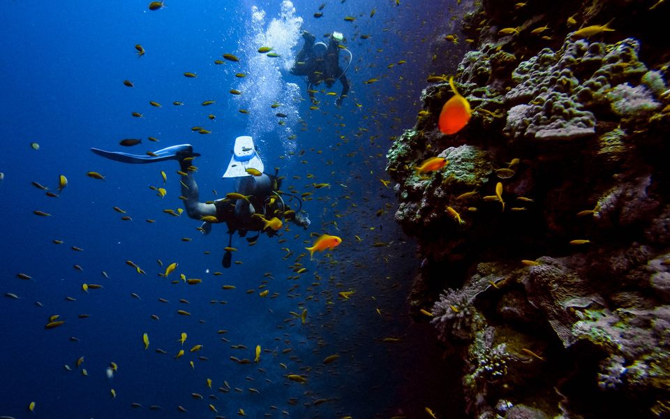 Photo of Seize the Day and Say Yes to These 10 Winter Adventure Activities in India! 7/10 by Bongyatri - Sourav and Anindita