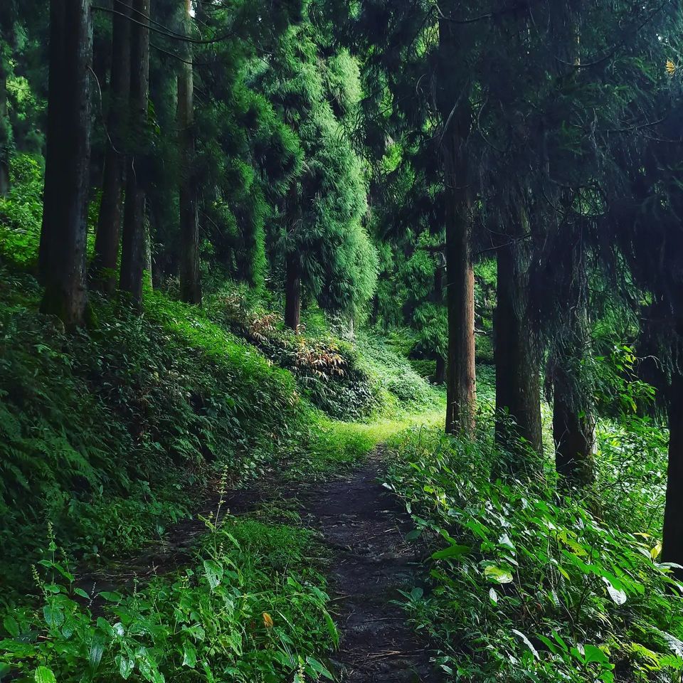 Photo of 10 Most Underrated Places In India Which You Never Took Seriously But Must Explore in 2022! 6/10 by Bongyatri - Sourav and Anindita