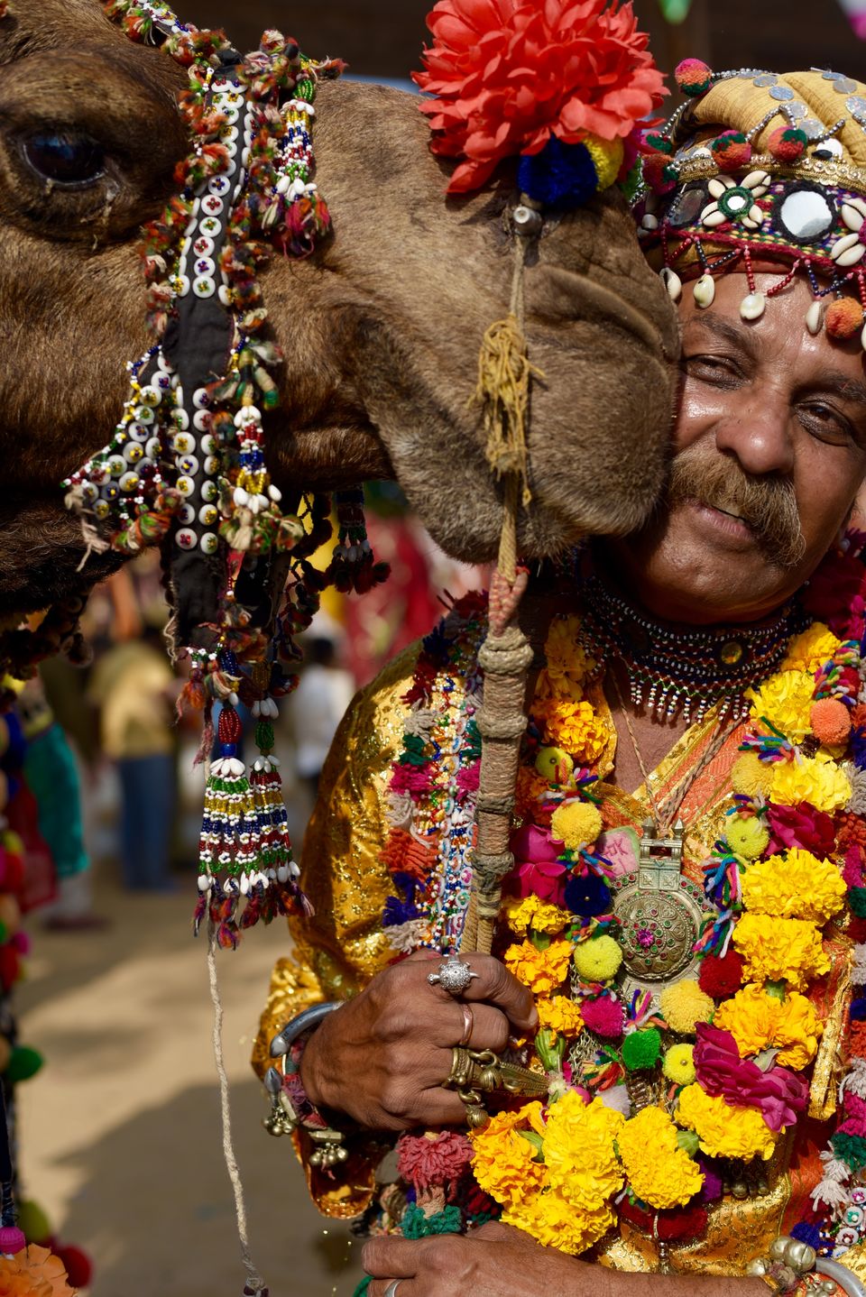 Photo of Bookmark This: 18 Festivals In India You Must Attend From January to June 2022 1/19 by Bongyatri - Sourav and Anindita