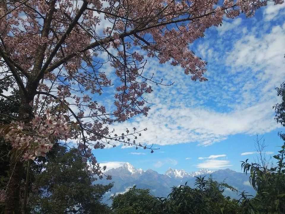 Photo of Bookmark for 2022: 22 Fabulous Properties in the Mountains Under 5K For an Unforgettable Trip! 35/66 by Bongyatri - Sourav and Anindita