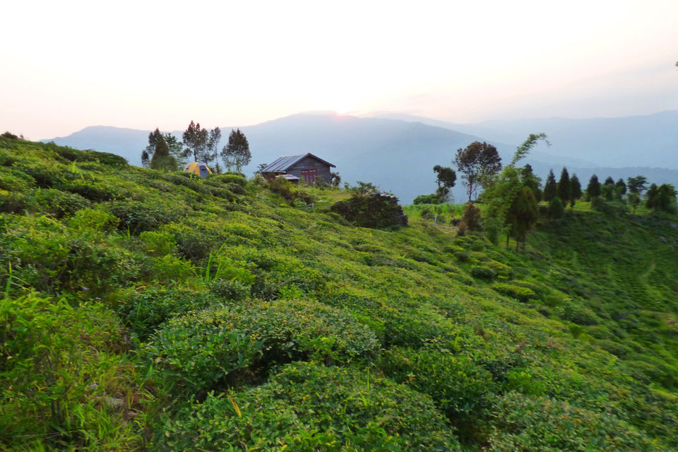 Photo of Bookmark for 2022: 22 Fabulous Properties in the Mountains Under 5K For an Unforgettable Trip! 50/66 by Bongyatri - Sourav and Anindita