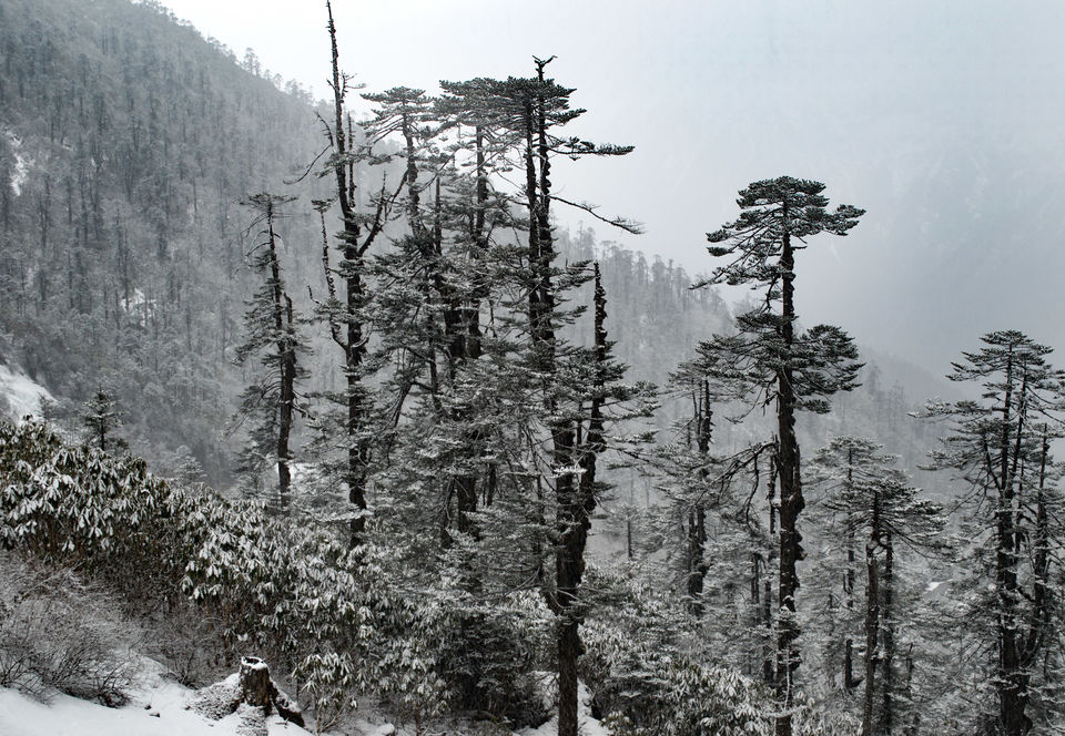 Photo of This vs That - Sikkim vs Uttarakhand Which Himalayan Paradise Is A Better Choice For 2022 18/25 by Bongyatri - Sourav and Anindita