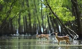 Photo of 5 Must Visit places In India before it Vanishes 2/5 by robin dev