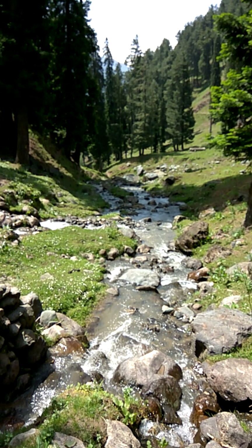 Photo of Heart of Kashmir : Pahalgam.. by Saloni Goyal