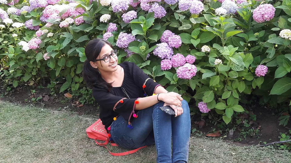 Photo of Nishat Garden, Srinagar by Saloni G