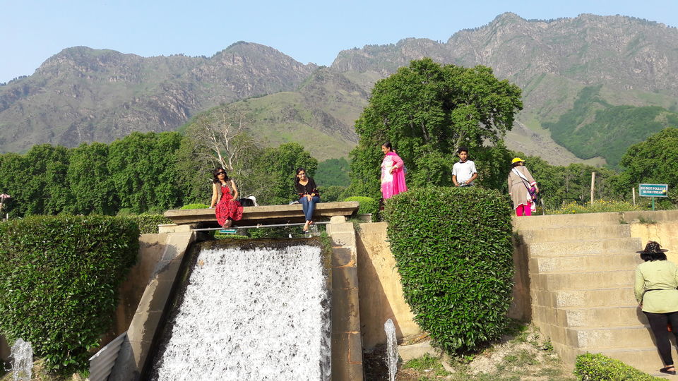 Photo of Srinagar : An essence on it's own.. by Saloni G