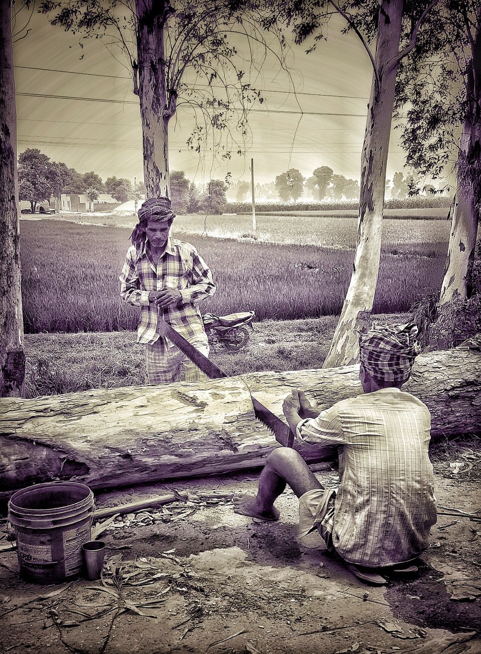 Photo of Photography Trends to Follow This Season!! by Saloni Goyal