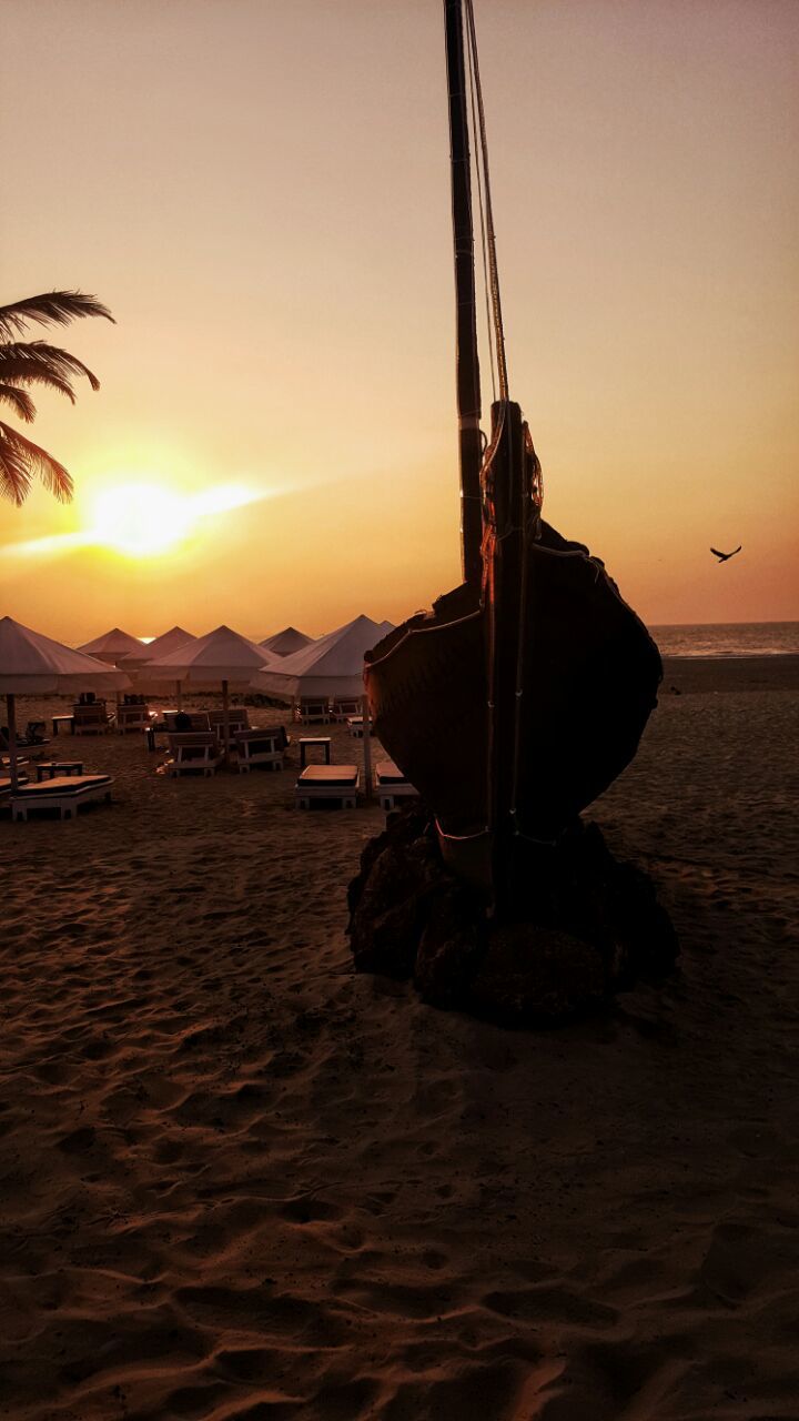 Photo of Photography Trends to Follow This Season!! by Saloni Goyal