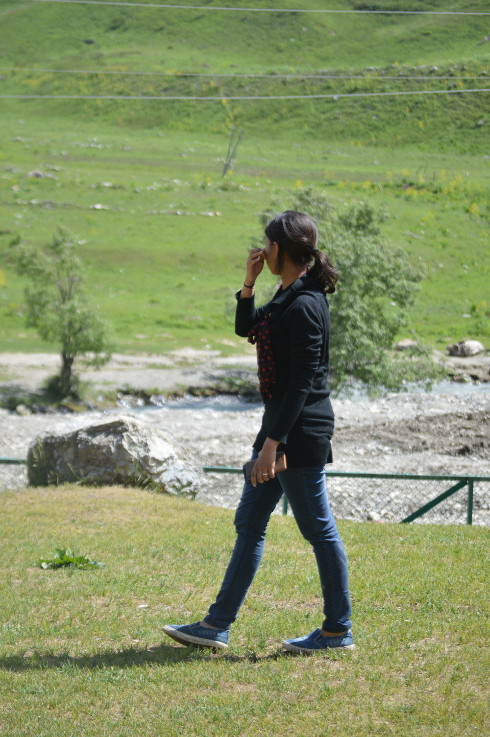 Photo of Thajiwas Glacier, Forest Block by Saloni G