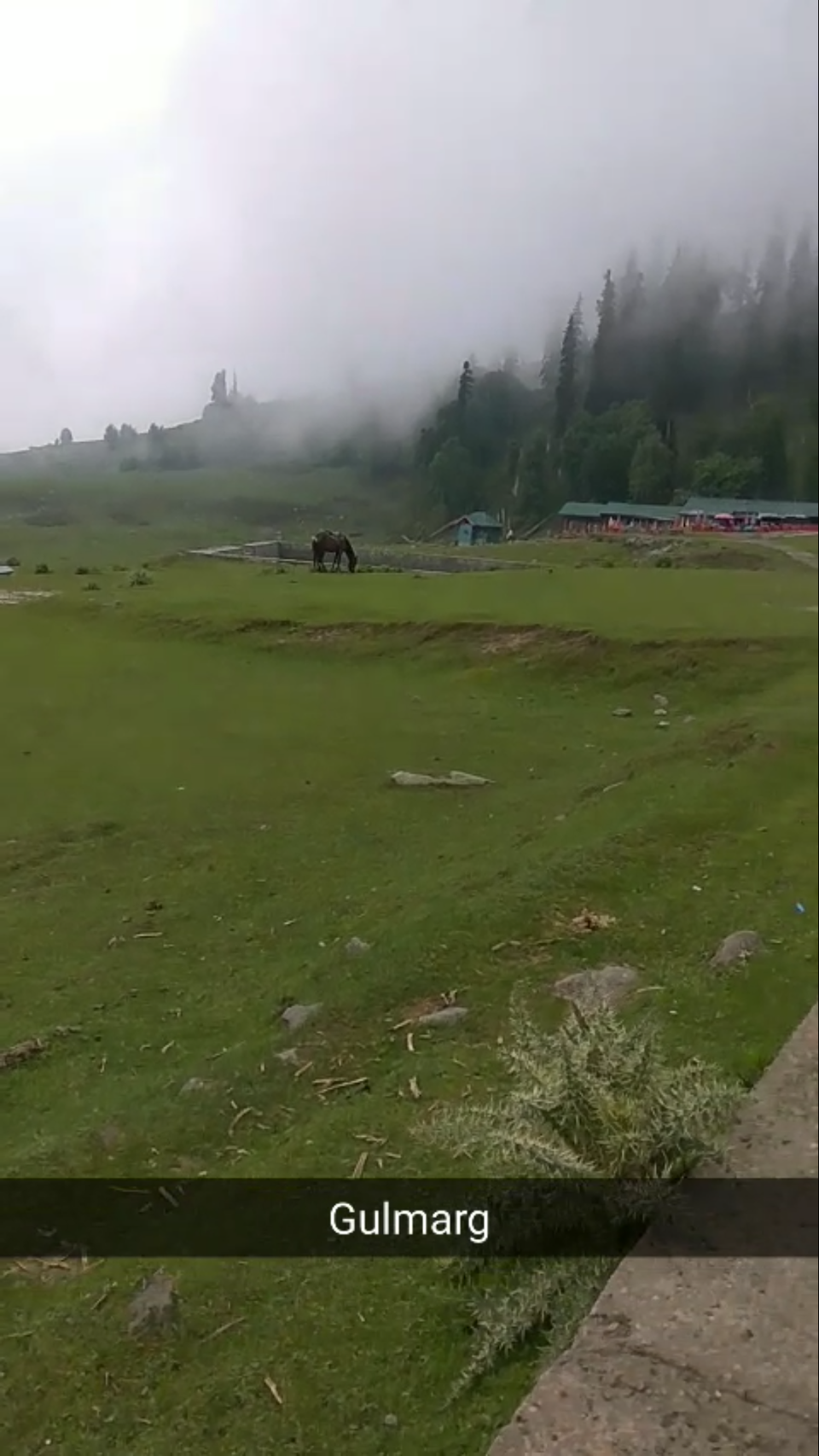Photo of Kongdoori, Gulmarg by Saloni G