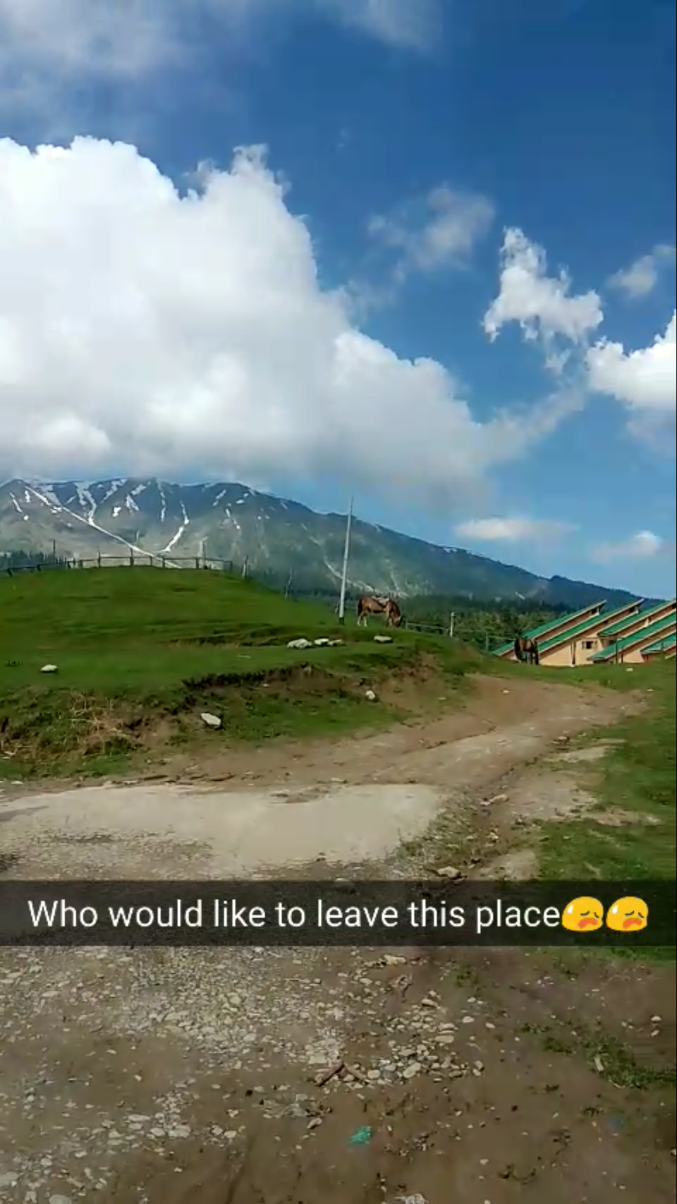 Photo of Gulmarg : Where diazepam runs in the air by Saloni G